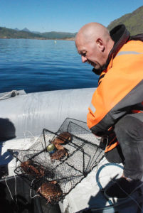 Pulling crab pot in Lofoten